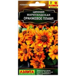 Цинния мариландская Оранжевое пламя