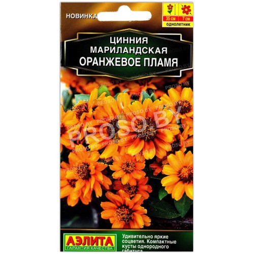 Цинния мариландская Оранжевое пламя