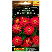 Цинния мариландская Темно-розовая