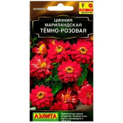 Цинния мариландская Темно-розовая