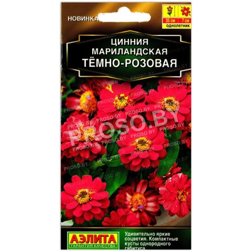 Цинния мариландская Темно-розовая