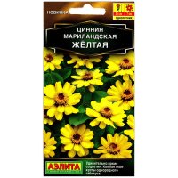 Цинния мариландская Желтая