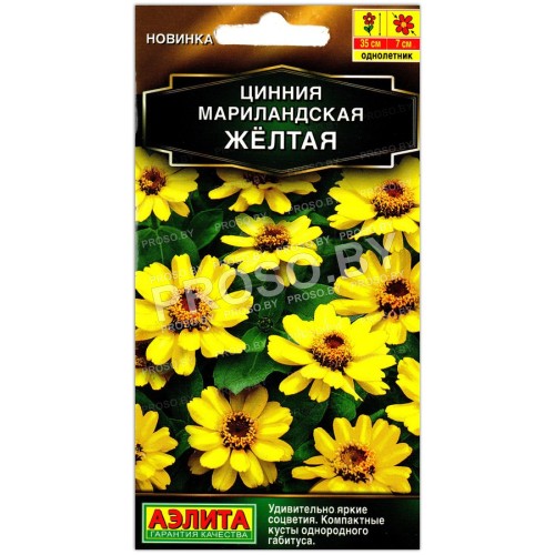 Цинния мариландская Желтая