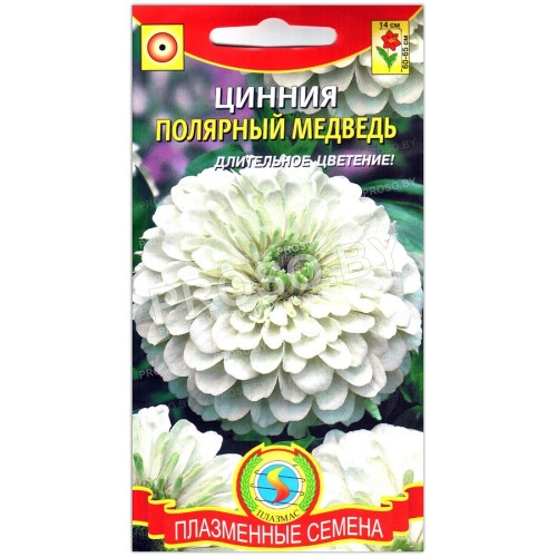 Цинния Полярный медведь-1