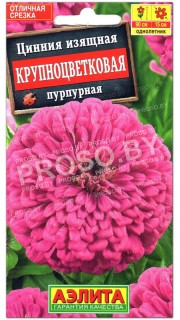 Цинния изящная Крупноцветковая пурпурная