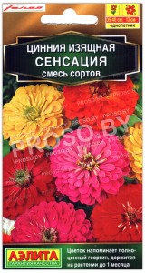 Цинния Сенсация, смесь