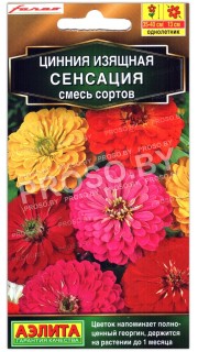 Цинния Сенсация, смесь