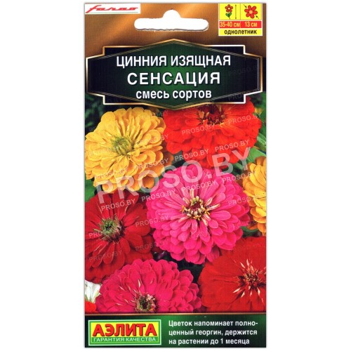 Цинния Сенсация, смесь