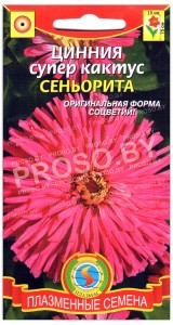 Цинния супер кактус Сеньорита