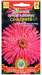 Цинния супер кактус Сеньорита