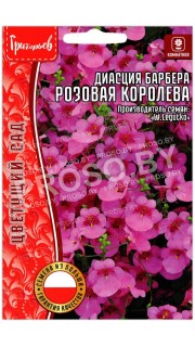 Диасция барбера Розовая королева