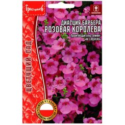 Диасция барбера Розовая королева