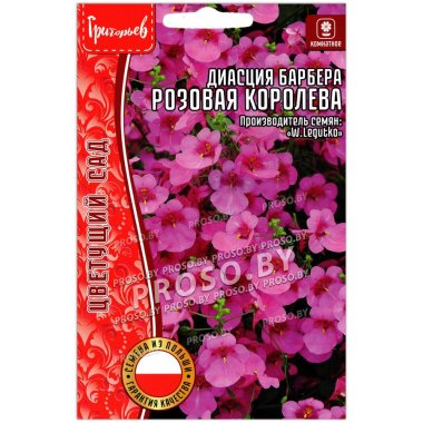 Диасция барбера Розовая королева