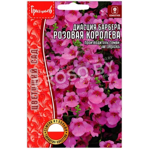 Диасция барбера Розовая королева
