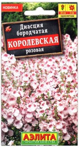 Диасция бородчатая Королевская розовая