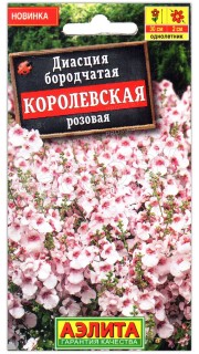 Диасция бородчатая Королевская розовая