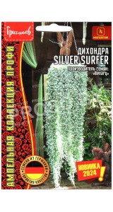 Дихондра Silver surfer