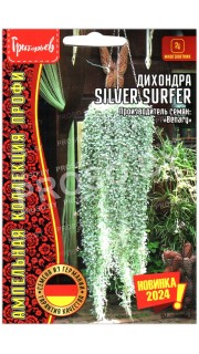 Дихондра Silver surfer