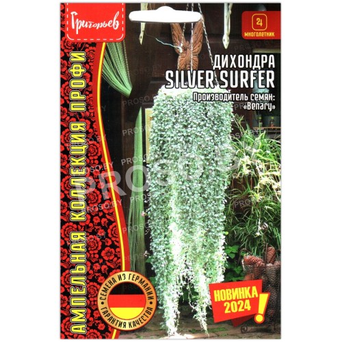 Дихондра Silver surfer