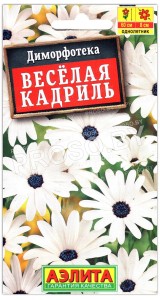 Диморфотека Веселая кадриль