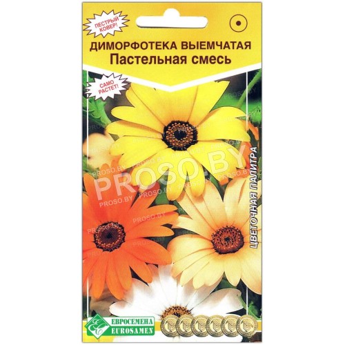 Диморфотека выемчатая Пастельная смесь