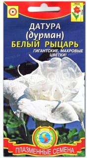 Дурман Белый рыцарь