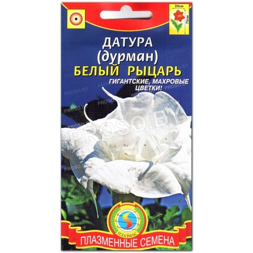 Дурман Белый рыцарь