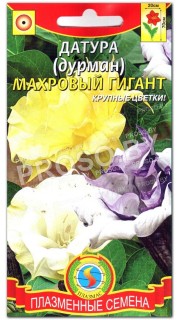 Дурман Махровый гигант, смесь