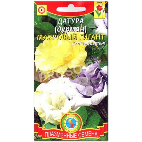 Дурман Махровый гигант, смесь