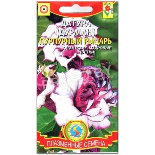 Дурман Пурпурный рыцарь
