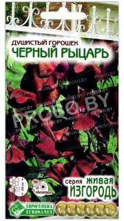 Душистый горошек Черный рыцарь