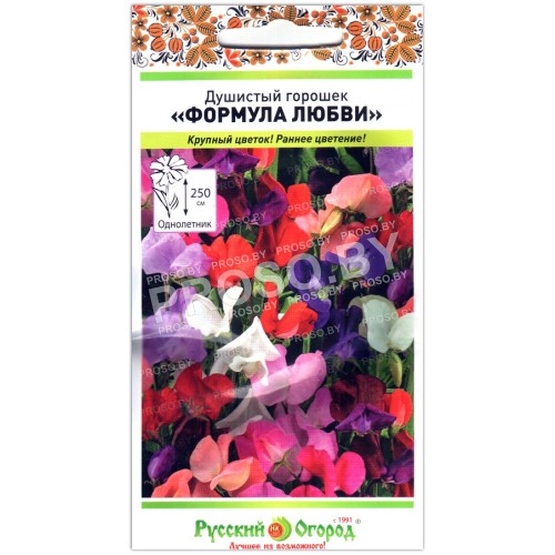 Душистый горошек Формула любви