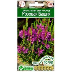 Физостегия виргинская Розовая башня