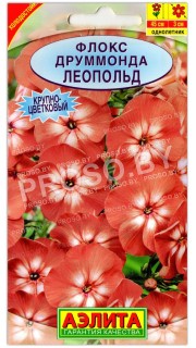 Флокс друммонда Леопольд