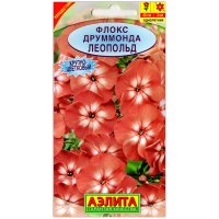 Флокс друммонда Леопольд