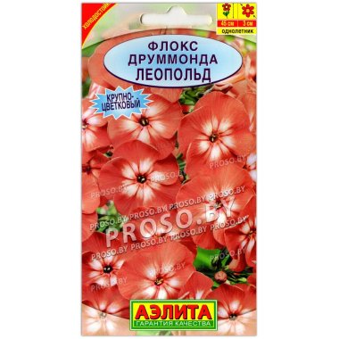 Флокс друммонда Леопольд