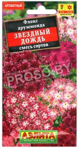 Флокс друммонда Звездный дождь, смесь
