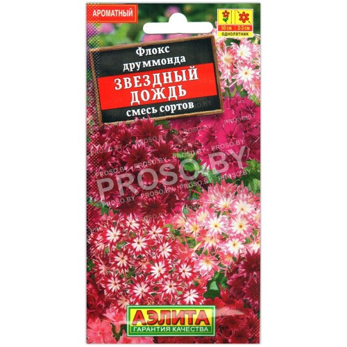 Флокс друммонда Звездный дождь, смесь