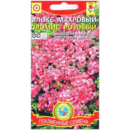 Флокс махровый Промис розовый