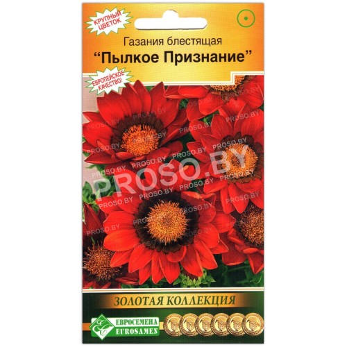 Гацания блестящая Пылкое признание