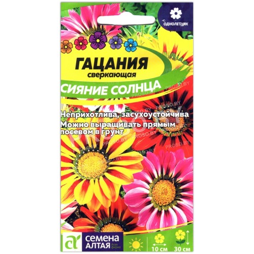 Гацания сверкающая Сияние солнца