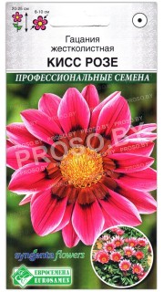 Гацания жестколистная Кисс розе