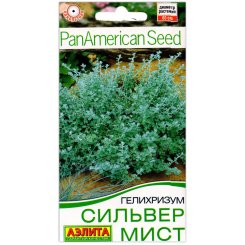 Гелихризум Сильвер мист