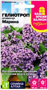 Гелиотроп Марина