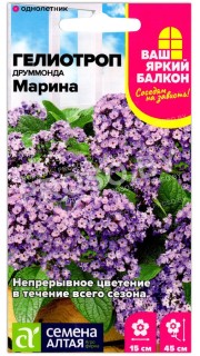 Гелиотроп Марина
