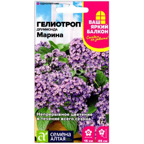 Гелиотроп Марина