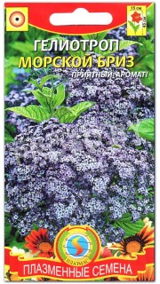 Гелиотроп Морской бриз