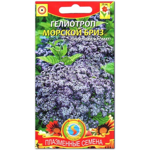 Гелиотроп Морской бриз