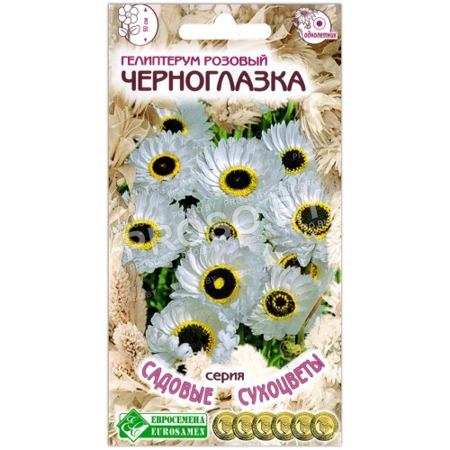 Гелиптерум розовый Черноглазка