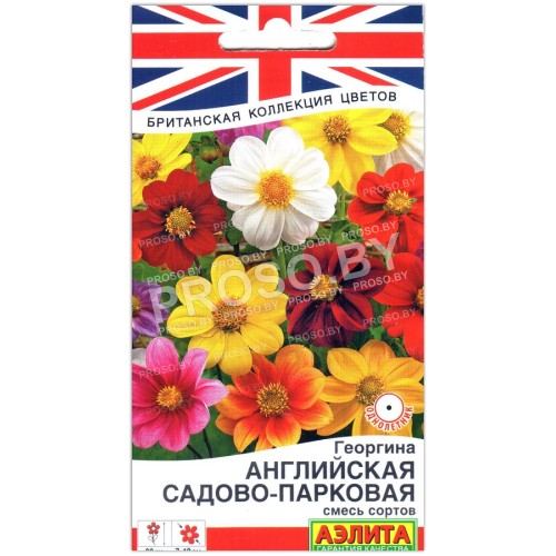 Георгина Английская садово-парковая, смесь